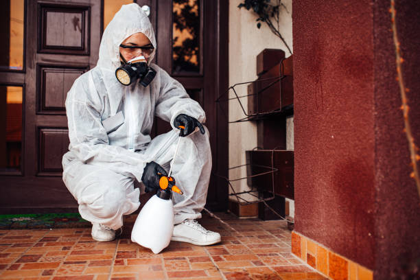 Reliable Wasp Removal contractor in Bethlehem, NC by Show Me Pest Control